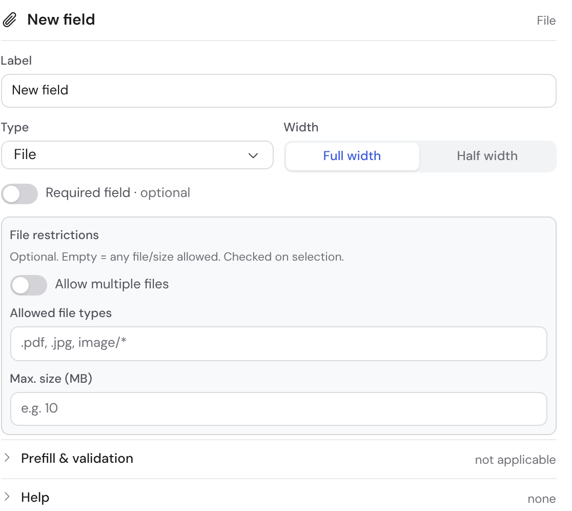 The file restrictions of a file-upload field: allow multiple files, allowed file types and maximum size in MB